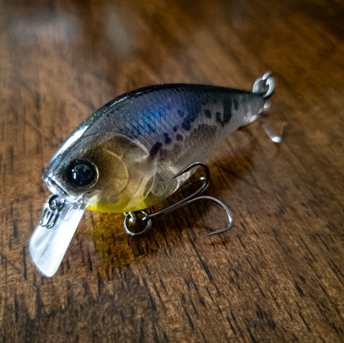 Midnight Blue Shad 1.5 Square Bill