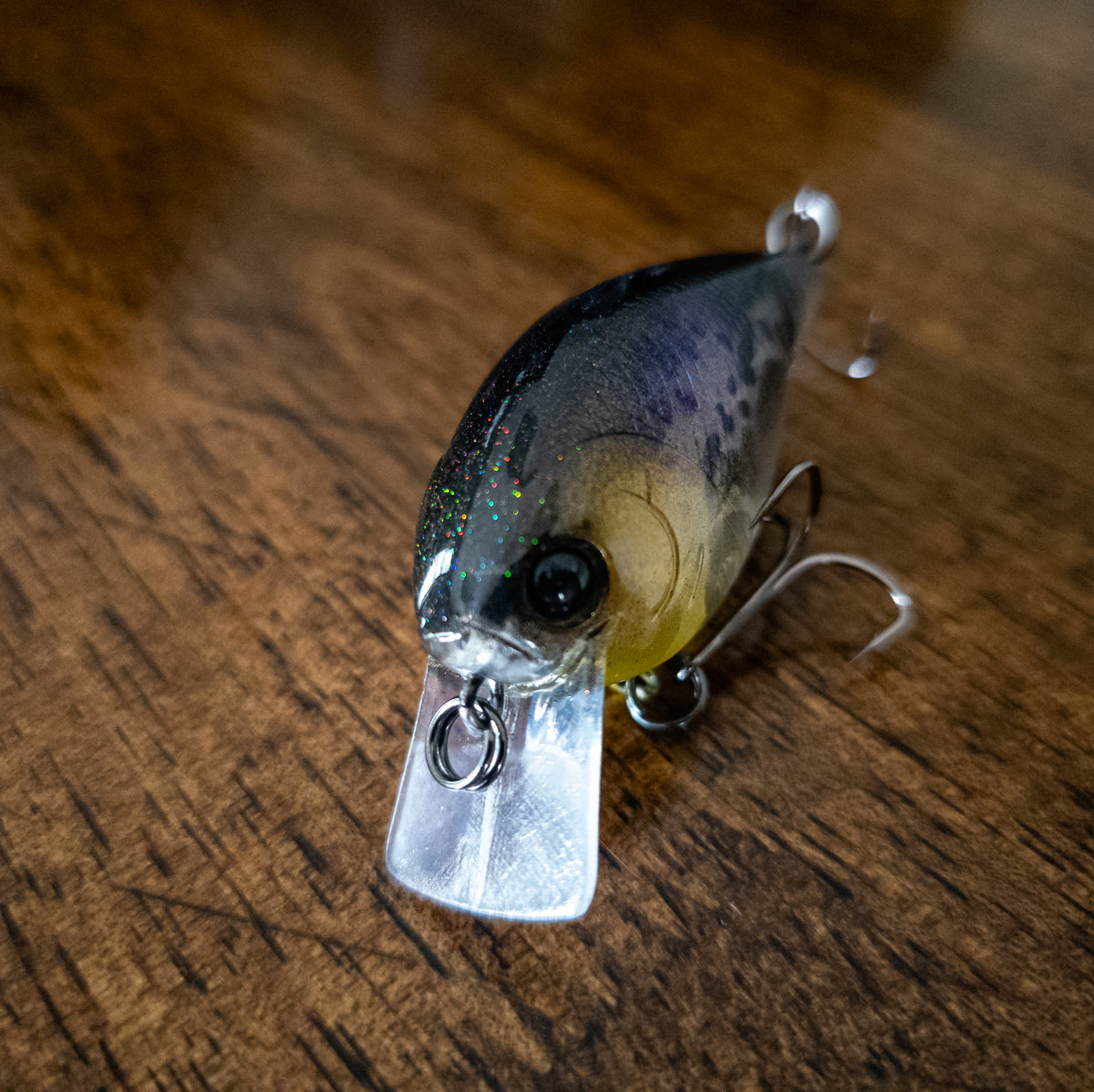 Midnight Blue Shad 1.5 Square Bill